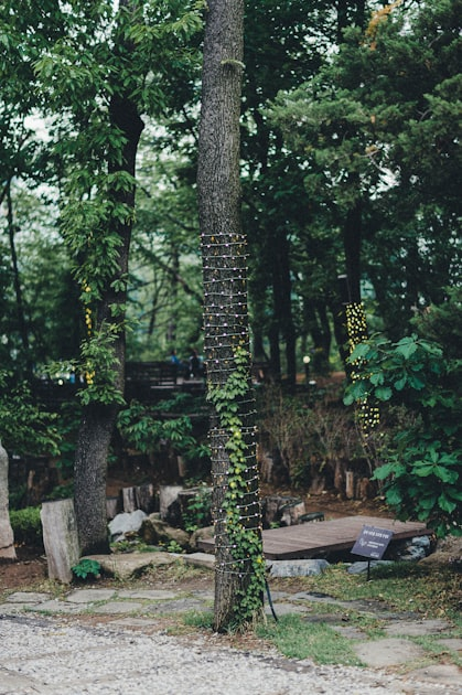 Storm Cleanup: What You Need to Know