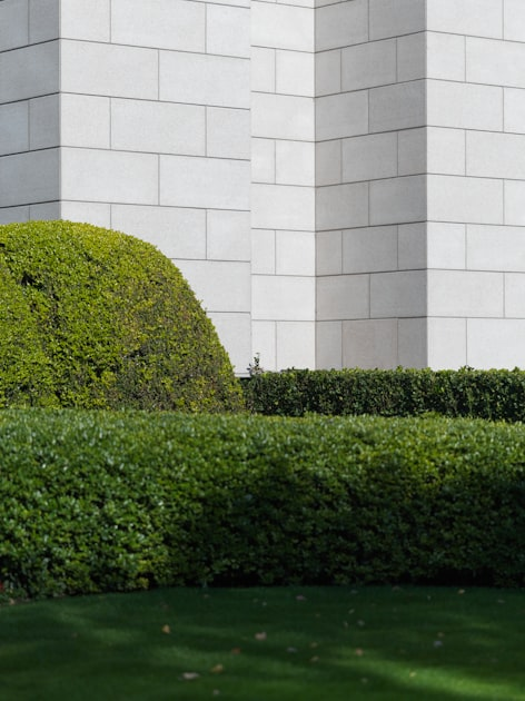 Enhancing Your Landscape with Stone Patios